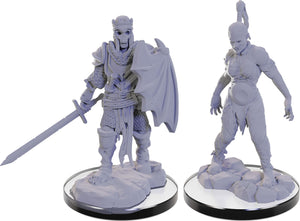 Pathfinder Battles Deep Cuts: Plague Zombie & Skeletal Champion Miniatures WizKids   