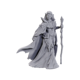 D&D Nolzur's Marvelous Miniatures: Limited Edition 50th Anniversary Elves