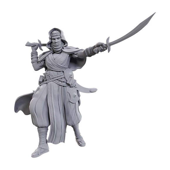 Pathfinder Deep Cuts: Desert Giant Miniatures WizKids   