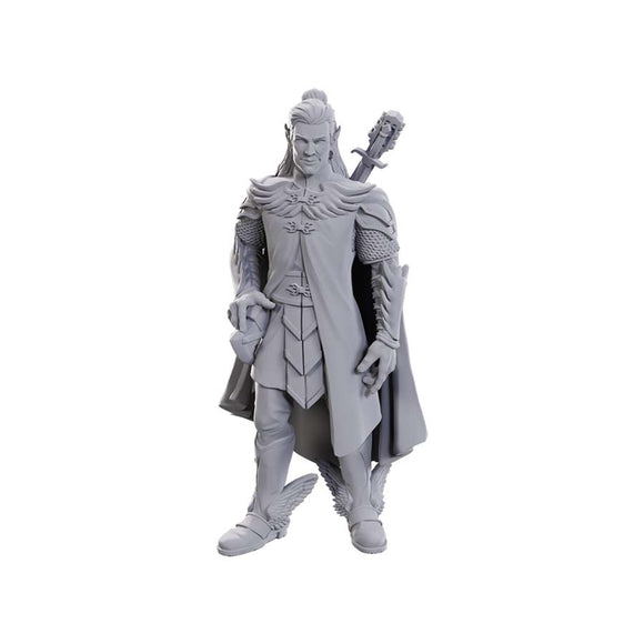 Critical Role Unpainted Miniatures: Dorian Storm Miniatures WizKids   