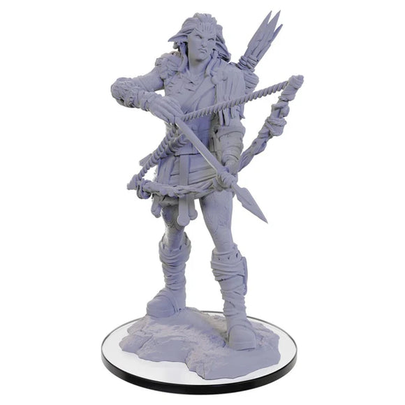 D&D Nolzur’s Marvelous Miniatures: Wood Giant Miniatures WizKids   