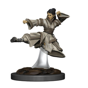 D&D Painted Premium Female Human Monk (93044)  WizKids   