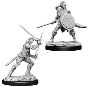 Pathfinder Deep Cuts Unpainted Miniatures: Female Elf Fighter Miniatures WizKids   