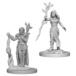 D&D Nolzur's Marvelous Unpainted Miniatures: Human Female Druid (72640) Home page WizKids   