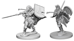 Pathfinder Deep Cuts Unpainted Miniatures: Human Female Paladin Miniatures WizKids   