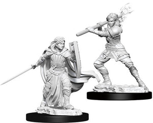 D&D Nolzur's Marvelous Unpainted Miniatures: Female Human Paladin Miniatures WizKids   